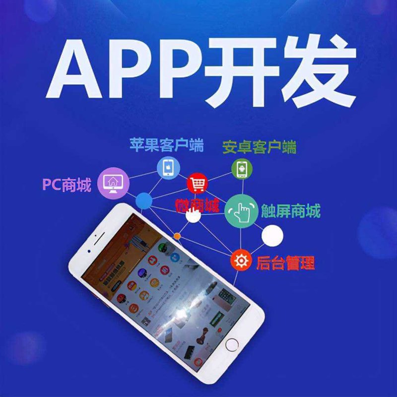 手机App开发